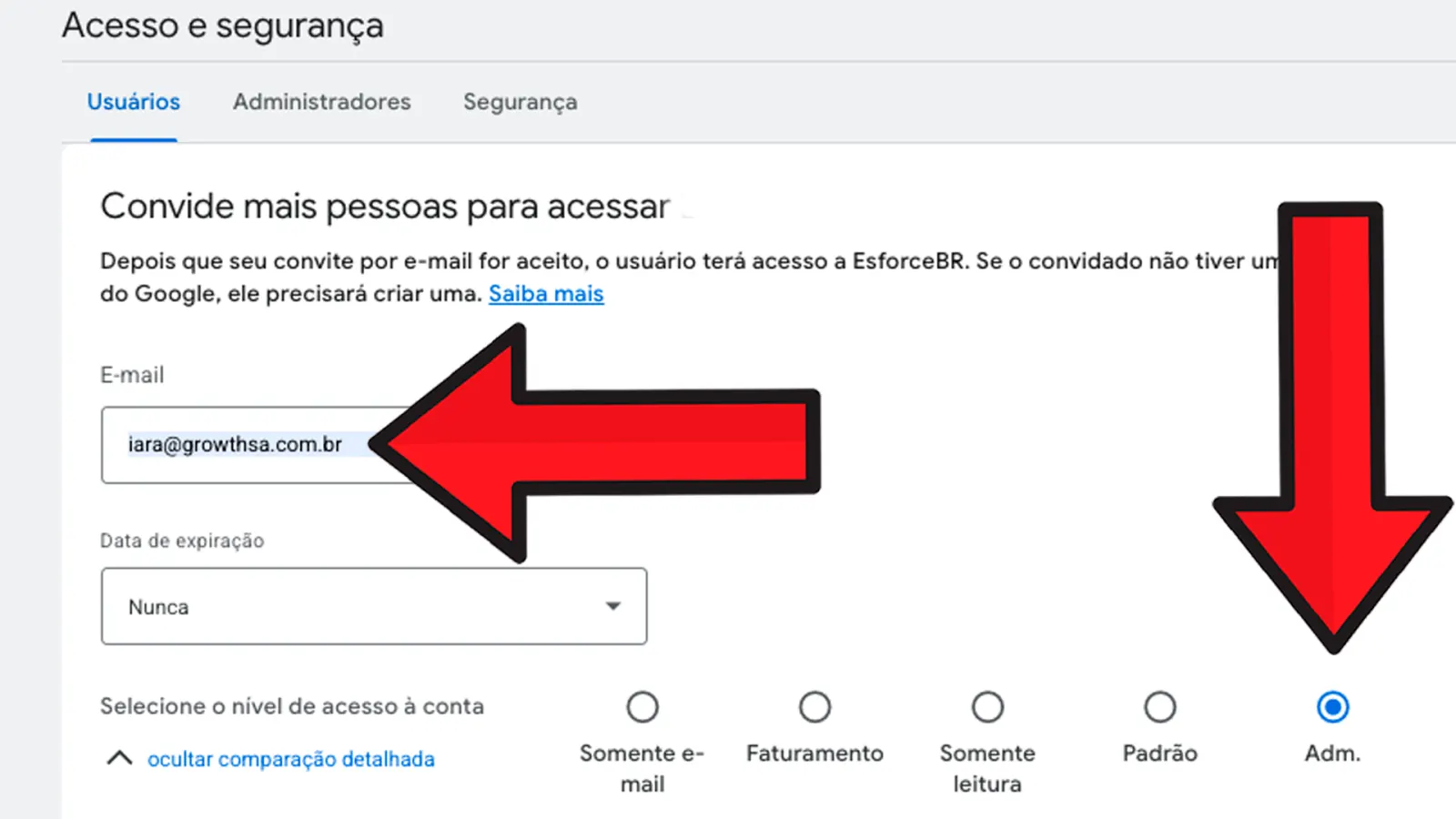 Insira o e-mail e selecione 'Adm.'